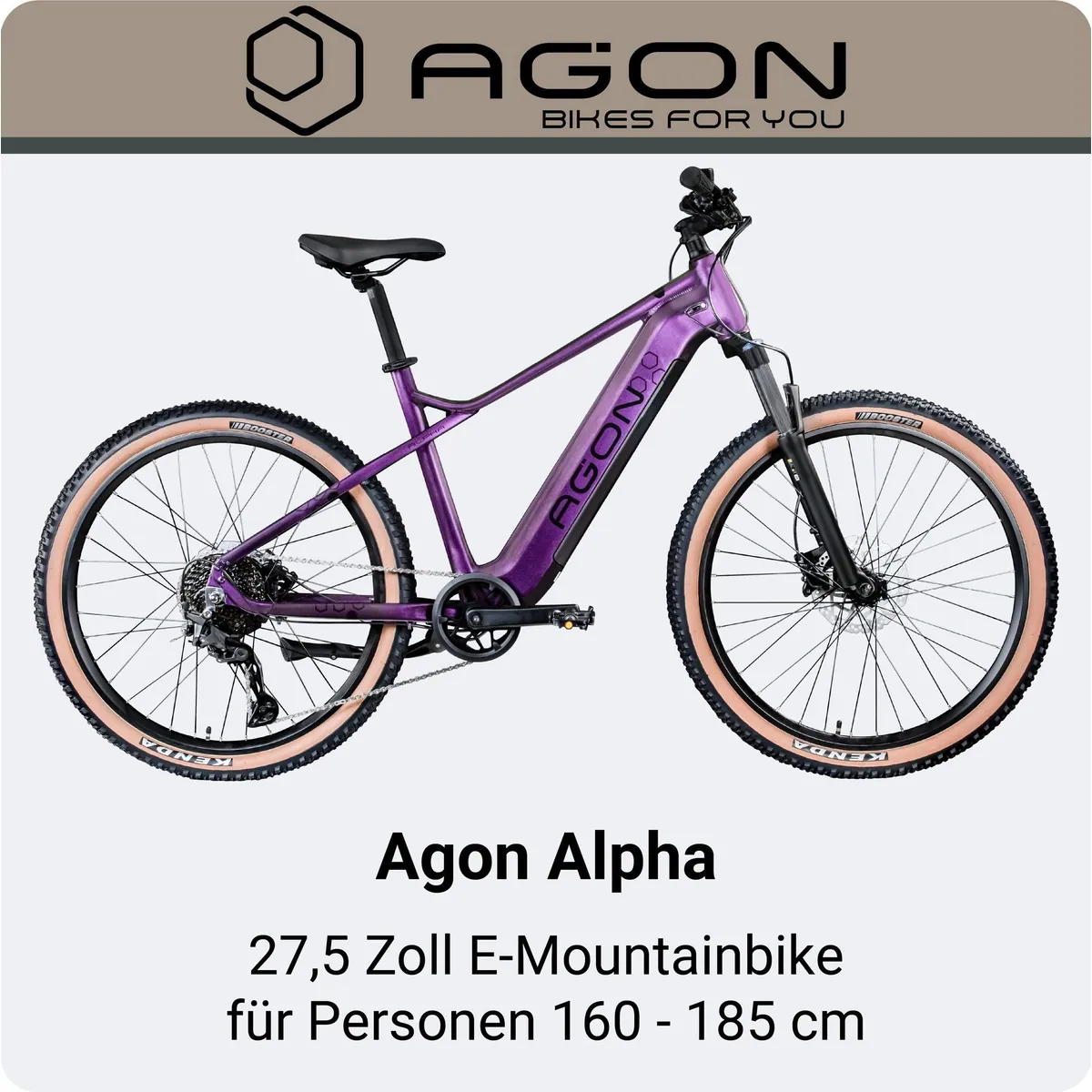 Agon E-Bike Mountainbike Alpha, 10 Gang Shimano Deore, leistungsstarker Heckmotor, 540 Wh Akku 2