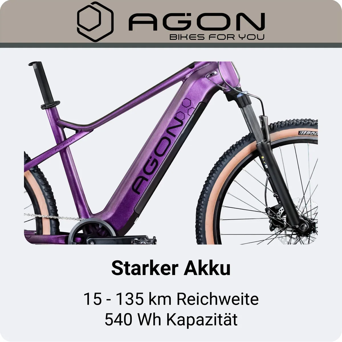 Agon E-Bike Mountainbike Alpha, 10 Gang Shimano Deore, leistungsstarker Heckmotor, 540 Wh Akku 3