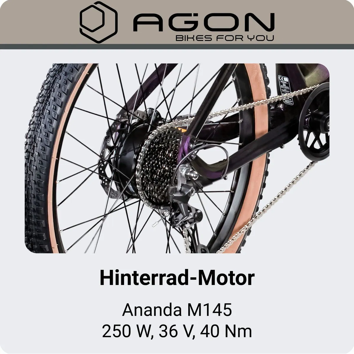 Agon E-Bike Mountainbike Alpha, 10 Gang Shimano Deore, leistungsstarker Heckmotor, 540 Wh Akku 5
