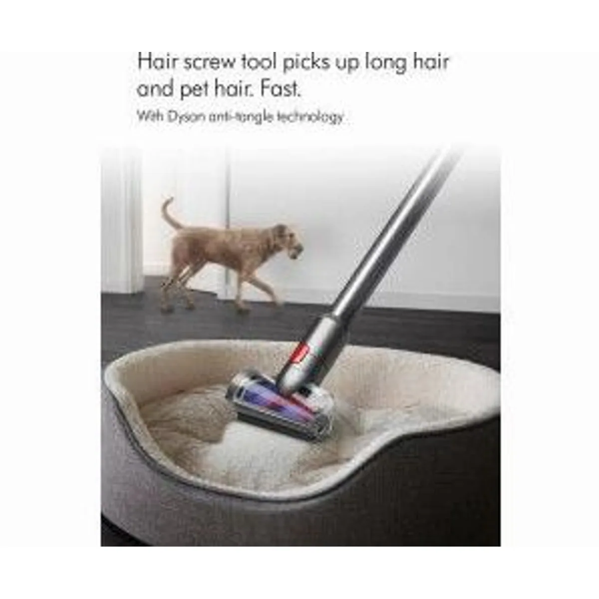 Dyson V12 Detect Slim Absolute, leistungsstark, leicht, intelligente Sensorik 3