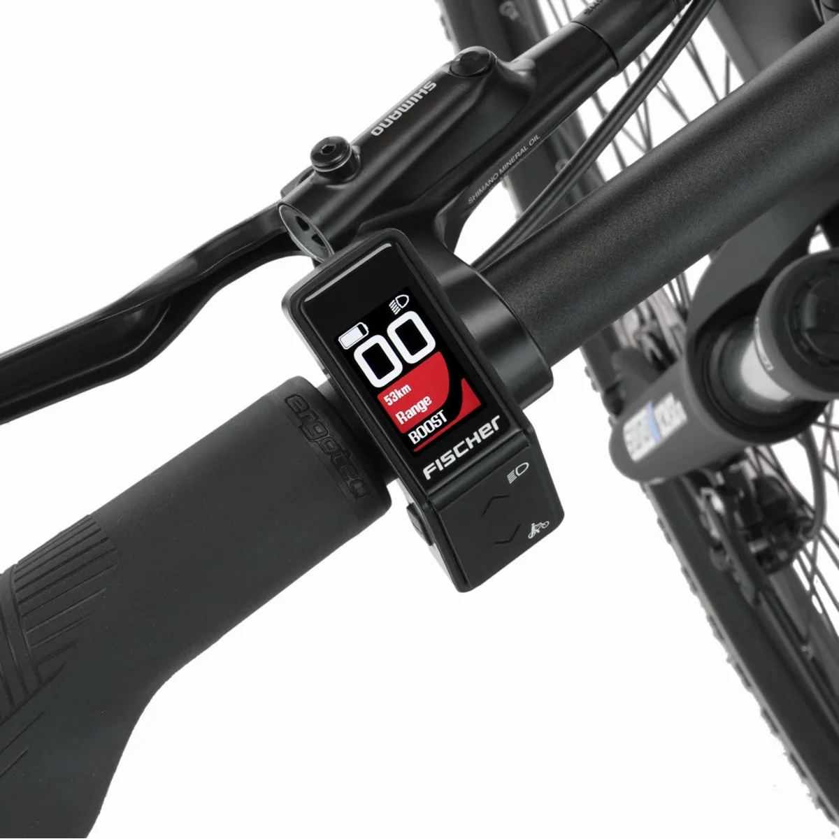 FISCHER E-Bike ATB TERRA 2.2 688 ACTIVE, 8 Gang, kraftvoller Heckmotor 5