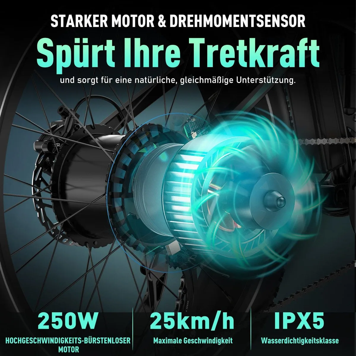 HITWAY BK9S E-Bike, 250 W Motor, 120 km Reichweite, Shimano 7-Gang-Schaltung 4