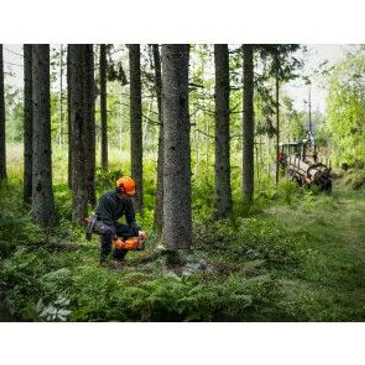 Husqvarna 450X Benzin-Kettensäge, leistungsstark, ergonomisch, vielseitig 4