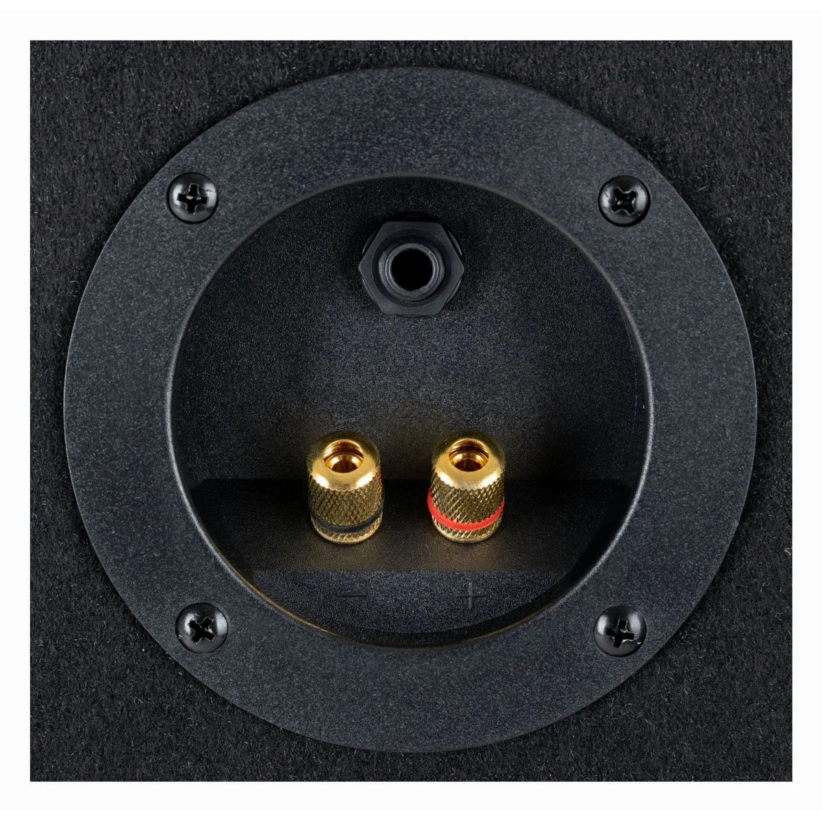McGrey TP-8 DJ PA Passiv Box, 20 cm Woofer, robustes Holzgehäuse, flexible Anschlüsse 4