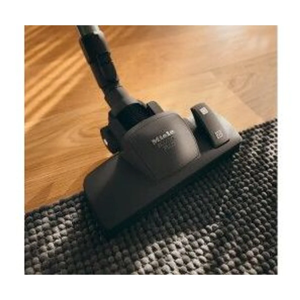 Miele Blizzard CX1 Cat&Dog Powerline SKCF5, beutelloser Staubsauger, hohe Saugleistung, allergikerfreundlich 2