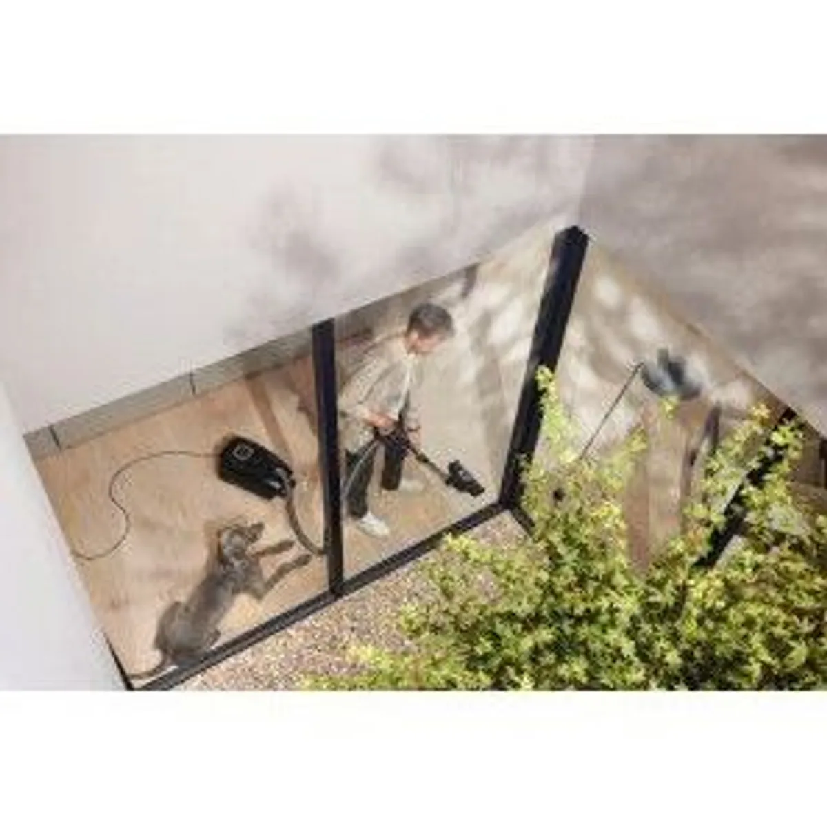 Miele Guard L1 Cat Dog, leistungsstark, vielseitig, elegantes Design 5