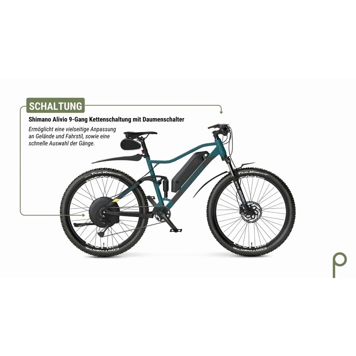 Prophete E-Bike Graveler, 9-Gang Shimano Alivio, 499 Wh Akku — robust, vielseitig, komfortabel 3