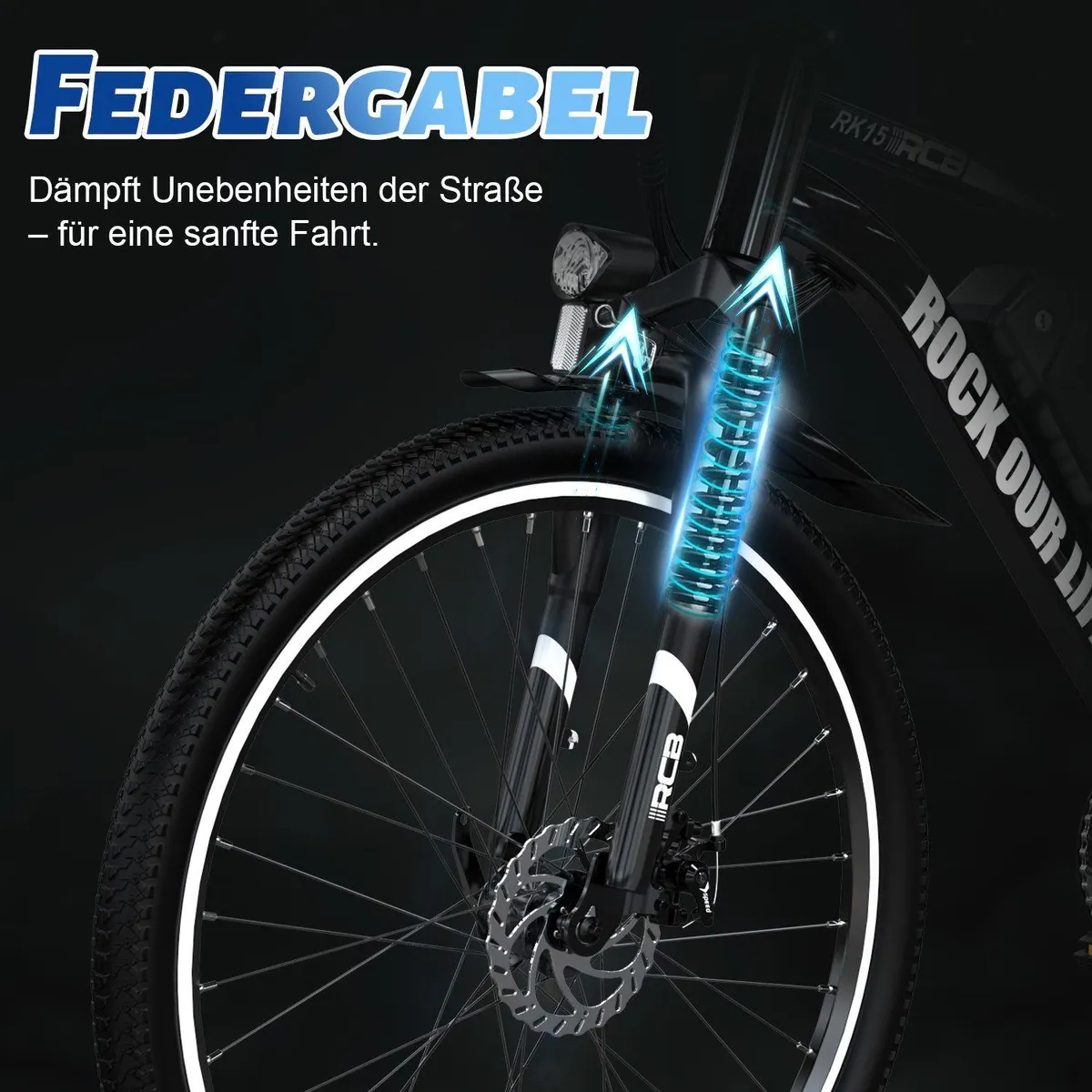 RCB RK15 E-Bike, 26 Zoll Pedelec, 250W Motor, 30-50 km Reichweite 4