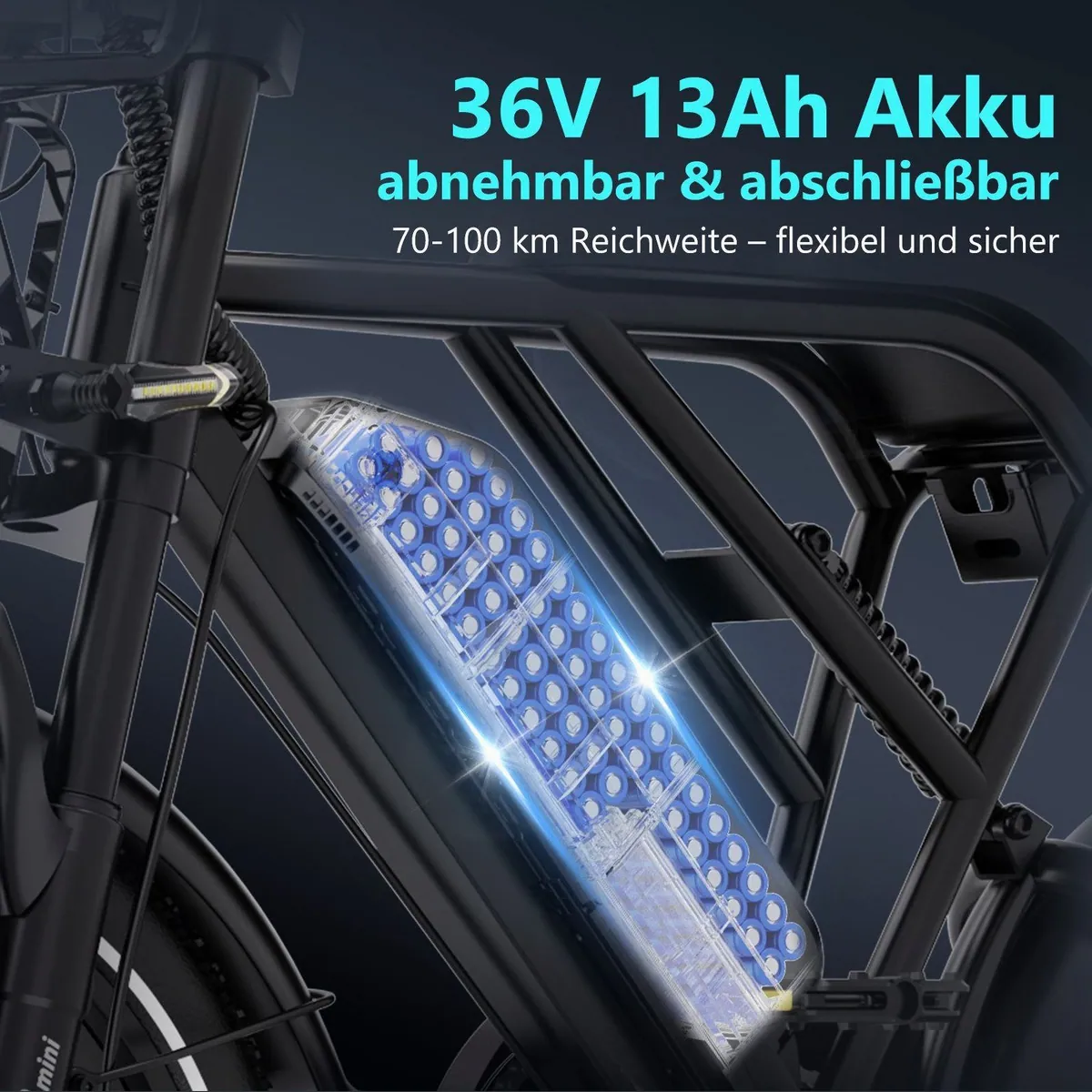 RCB G19 mini E-Bike Pedelec, kraftvoller Heckmotor, 70-100 km Reichweite 3