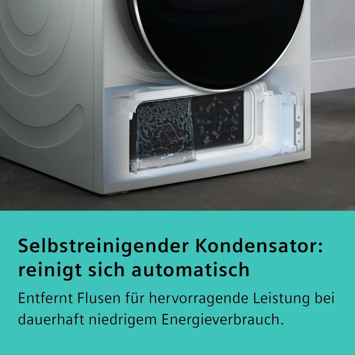 SIEMENS Wärmepumpentrockner WQ35G2D00, energieeffizient, selbstreinigender Kondensator, 8 kg Fassungsvermögen 2