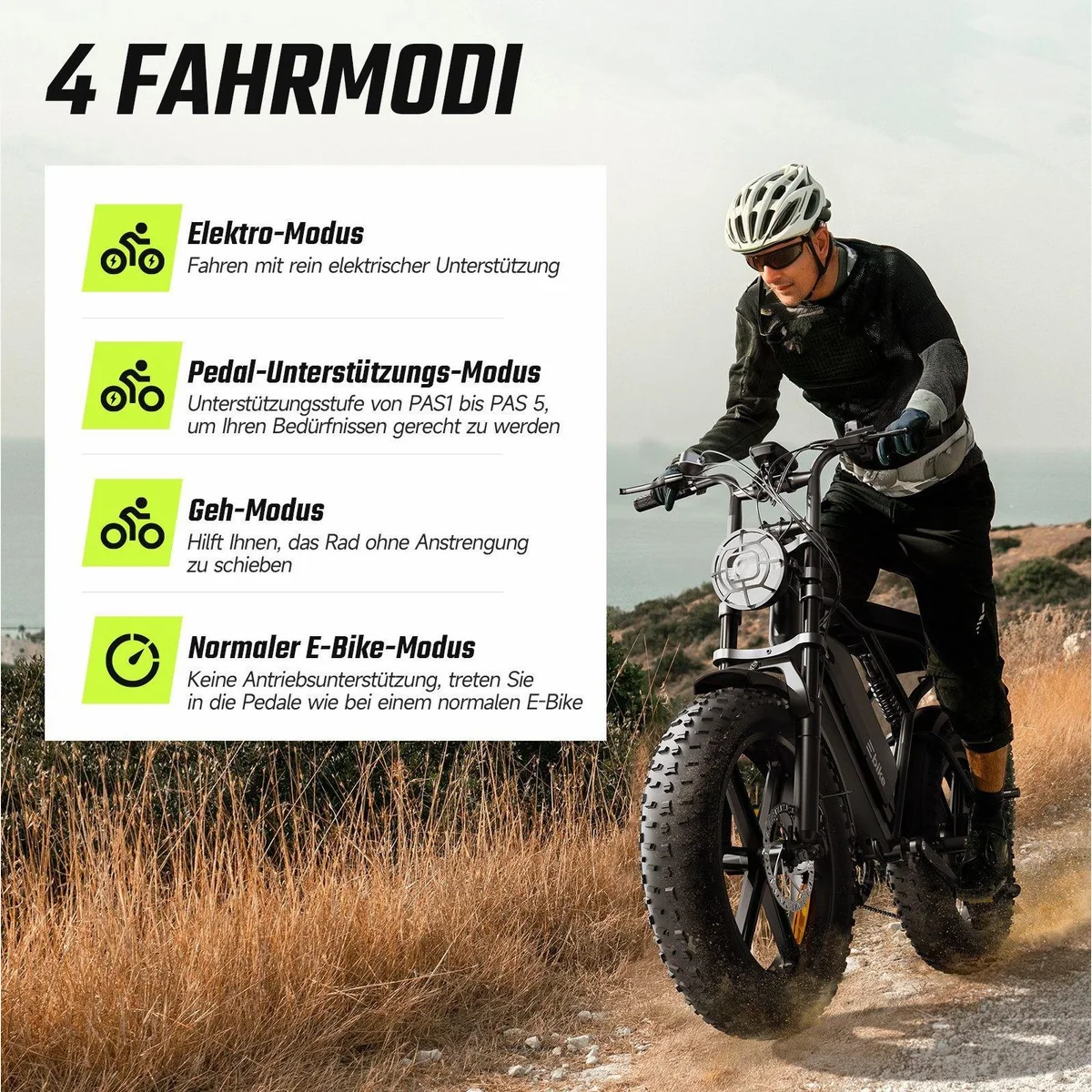 SISIGAD R002 PLUS E-Bike, kraftvoller 250W Motor, 130 km Reichweite, 204 kg Tragkraft 4