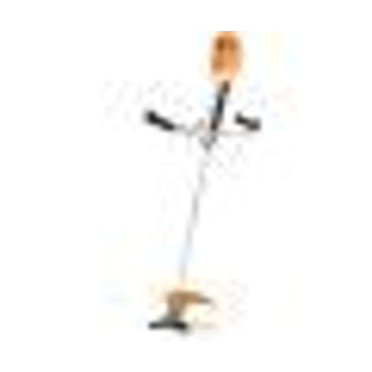 Stihl FSA 200 Freischneider, leistungsstark, leicht, kabellos 3