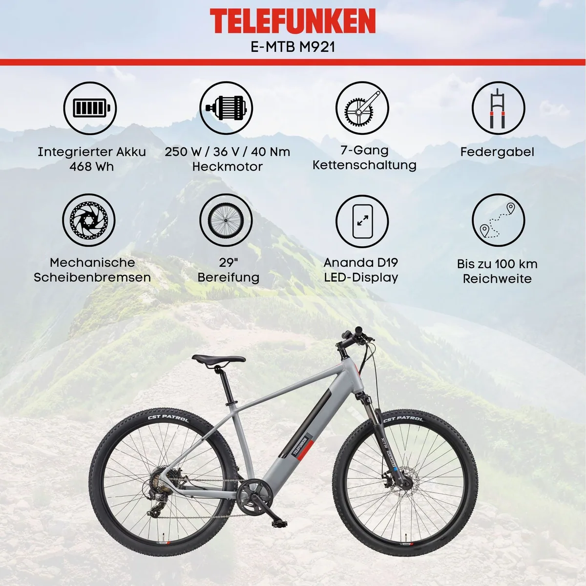 Telefunken E-Bike Aufsteiger M921, 7-Gang Shimano, leistungsstarker Heckmotor — 29 Zoll, Scheibenbremsen, LCD-Display 5