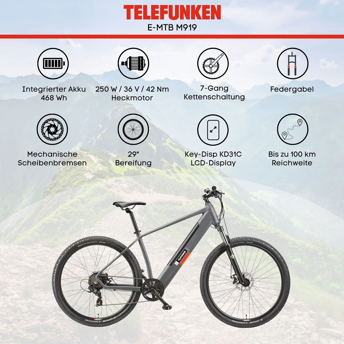 Telefunken E-Bike Aufsteiger M919, 7-Gang Shimano, leistungsstarker Heckmotor 5