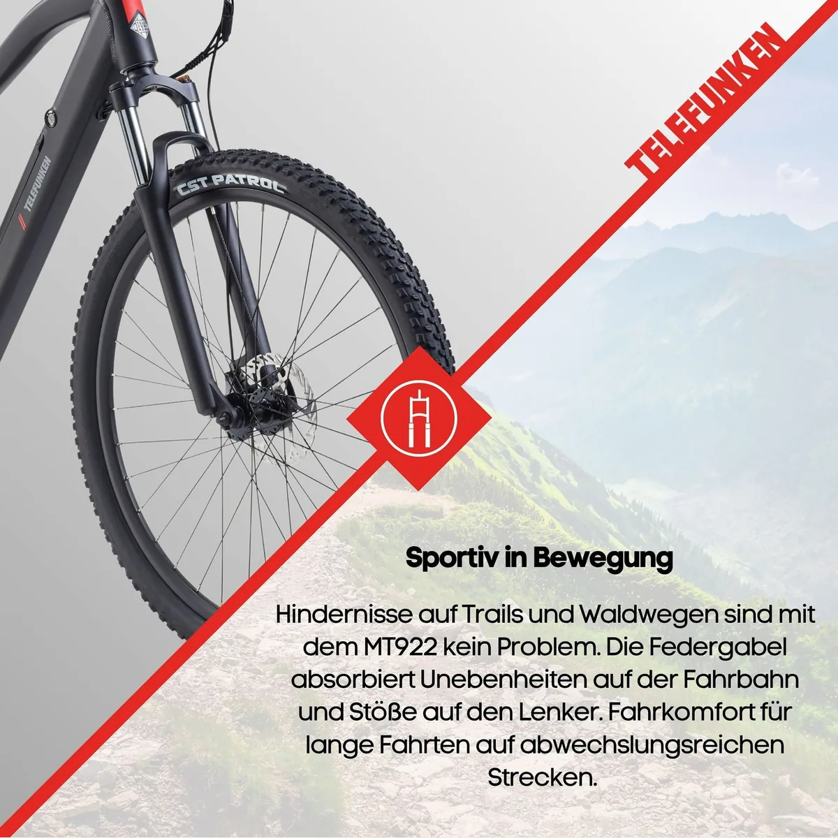 Telefunken MT922 E-Bike Mountainbike, 250W Heckmotor, 29 Zoll, 7-Gang Shimano 5