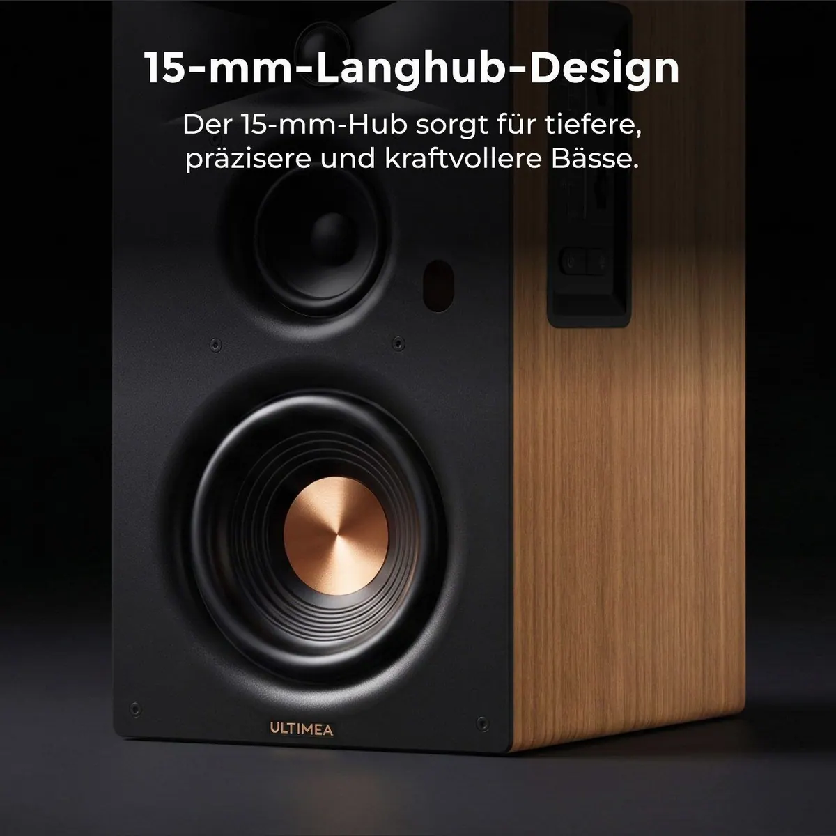 Ultimea Signature BS-30 Regal-Lautsprecher, 70 W Leistung, Bluetooth 6.0, vielseitige Anschlussmöglichkeiten 5